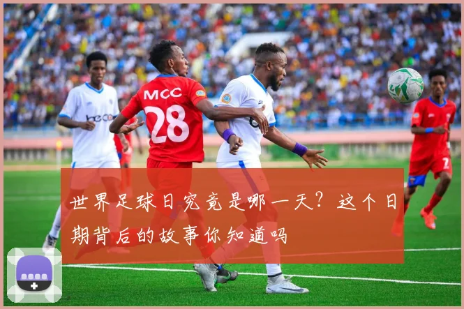 世界足球日究竟是哪一天?这个日期背后的故事你知道吗